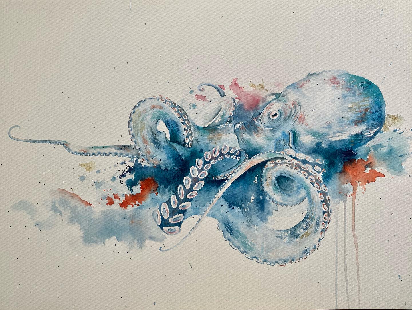 Pulpo del Caribe